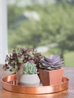 Large Round Copper Plant Tray, 14" -Gardening Sales Store 8593531 4518 tif