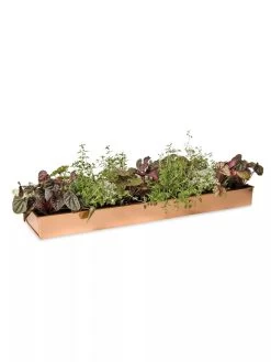 Rectangular Copper Plant Tray, 24" X 5" -Gardening Sales Store 8593533 2878 tif