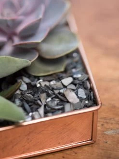 Rectangular Copper Plant Tray, 24" X 5" -Gardening Sales Store 8593533 4570 tif