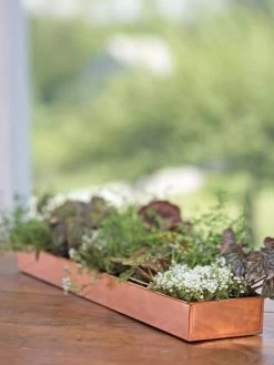 Rectangular Copper Plant Tray, 24" X 5" -Gardening Sales Store 8593533 4626 tif