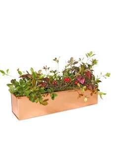 Tall Rectangular Copper Plant Tray, 18" X 5" X 4" -Gardening Sales Store 8593534 2899 tif