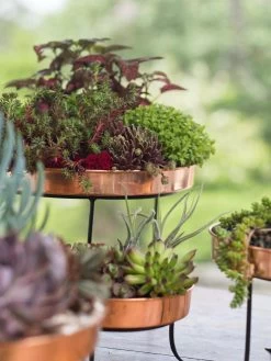 Small Round Copper Plant Tray, 10" -Gardening Sales Store 8593564 4399 tif