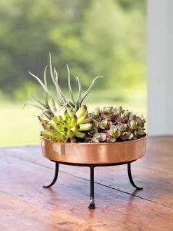 Extra Small Round Copper Plant Tray, 8" -Gardening Sales Store 8593564 4641 001E tif
