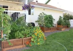OLT Raised Cedar Garden Bed, 3' X 6' 9 OLT Raised Cedar Garden Bed, 3' X 6' -Gardening Sales Store 8594002 03V tif
