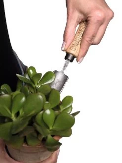 Gardener's Lifetime Mini Trowel 6 Gardener's Lifetime Mini Trowel -Gardening Sales Store 8594146 0111 tif