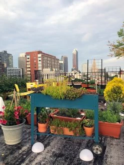 Demeter Mobile Planter Cart -Gardening Sales Store 8594148 01CUST tif