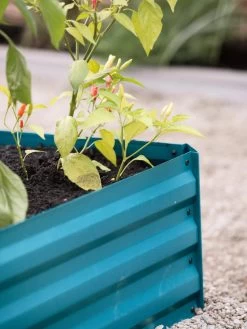 Demeter Corrugated Metal Raised Bed, 34" X 68" 13 Demeter Corrugated Metal Raised Bed, 34" X 68" -Gardening Sales Store 8594183 470 tif 1