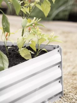 Demeter Corrugated Metal Raised Bed, 34" X 34" 12 Demeter Corrugated Metal Raised Bed, 34" X 34" -Gardening Sales Store 8594183 570 tif