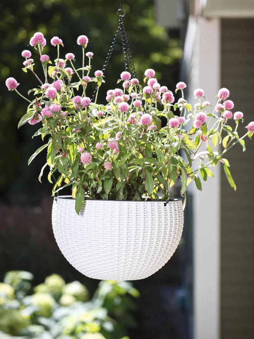 Weave Self-Watering Hanging Basket, 10" 2 Weave Self-Watering Hanging Basket, 10" - Image 2