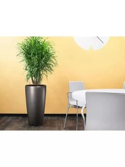 Lechuza® Rondo Self-Watering Planters -Gardening Sales Store 8594586 02V tif