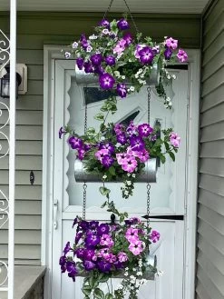 Galvanized Hanging Triple Planter 11 Galvanized Hanging Triple Planter -Gardening Sales Store 8595213 02CUST tif