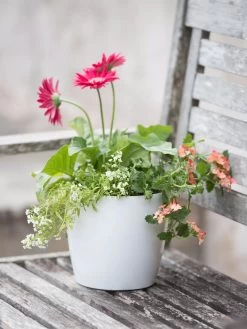 Viva Round Self-Watering Planter, 7" Diameter -Gardening Sales Store 8595222 1139 tif