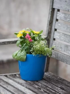 Viva Round Self-Watering Planter, 7" Diameter -Gardening Sales Store 8595222 1143 tif