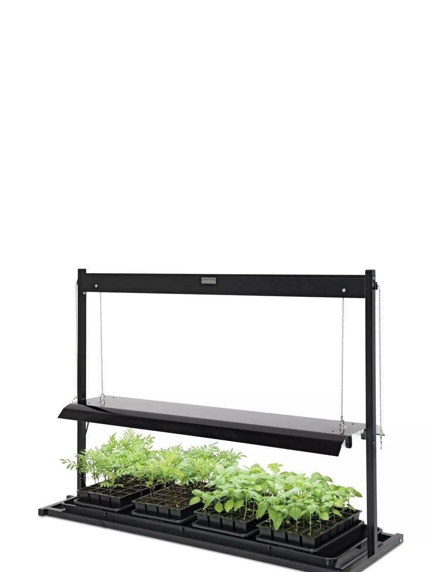 LED SunLite® Tabletop Garden 3 LED SunLite® Tabletop Garden - Image 3
