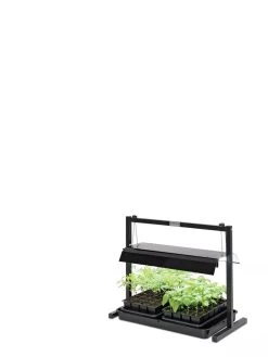 LED SunLite® Compact Tabletop Garden 7 LED SunLite® Compact Tabletop Garden -Gardening Sales Store 8595555 10136 tif