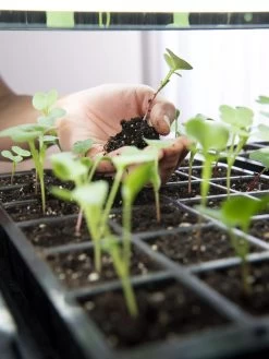 LED Stack-n-Grow Lights - Base Unit 7 LED Stack-n-Grow Lights - Base Unit -Gardening Sales Store 8595770 7373 tif