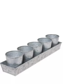Galvanized Herb Planters With Rectangular Tray -Gardening Sales Store 8595903 3924 tif
