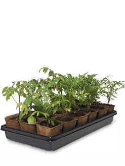3-1/2” Square Biodegradable Pots & Tray Set -Gardening Sales Store 8595968 3916 tif