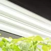 LED SunLite® High Intensity Fixture