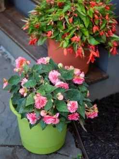 Eezy Gro Self-Watering Planters -Gardening Sales Store 8596427 0034 tif