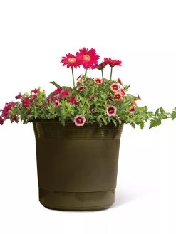 Eezy Gro Self-Watering Planters -Gardening Sales Store 8596427 108 tif