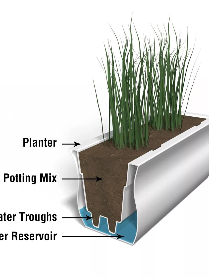 Valencia Window Box, 3' 4 Valencia Window Box, 3' - Image 4