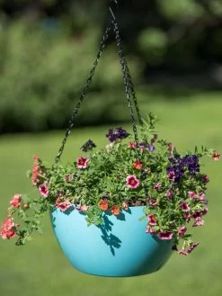 Viva Self-Watering Hanging Basket, 14" Diameter -Gardening Sales Store 8596442 0859 tif