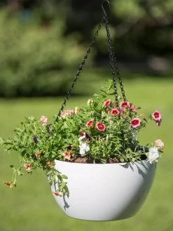 Viva Self-Watering Hanging Basket, 14" Diameter -Gardening Sales Store 8596442 0864 tif