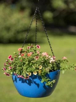 Viva Self-Watering Hanging Basket, 14" Diameter -Gardening Sales Store 8596442 0876 tif