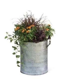 Galvanized Rim Planters -Gardening Sales Store 8597443 1704 tif
