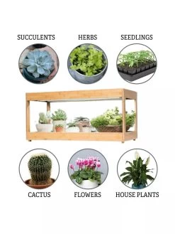 Low Bamboo LED Grow Light Garden -Gardening Sales Store 8597720 3