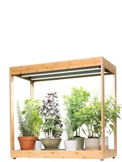 Medium Bamboo LED Grow Light Garden 25 Medium Bamboo LED Grow Light Garden -Gardening Sales Store 8597883 1011 tif