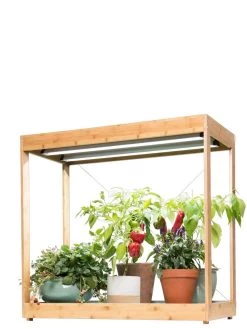 Medium Bamboo LED Grow Light Garden 26 Medium Bamboo LED Grow Light Garden -Gardening Sales Store 8597883 1013 tif