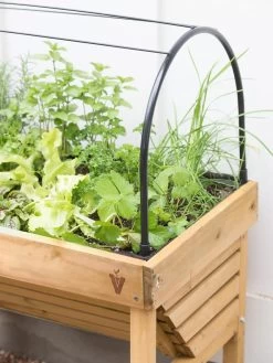 VegTrug® Mini Wallhugger Planter With Cover -Gardening Sales Store 8598339 4004 tif