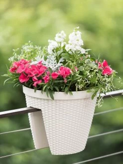 Weave Round Railing Planter, 11" 6 Weave Round Railing Planter, 11" -Gardening Sales Store 8598370 8580 tif