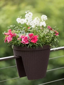 Weave Round Railing Planter, 11" 7 Weave Round Railing Planter, 11" -Gardening Sales Store 8598370 8584 tif