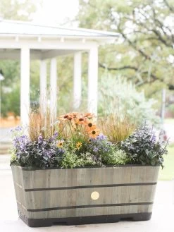 VegTrug™ Trough Planters -Gardening Sales Store 8598402 08880 tif