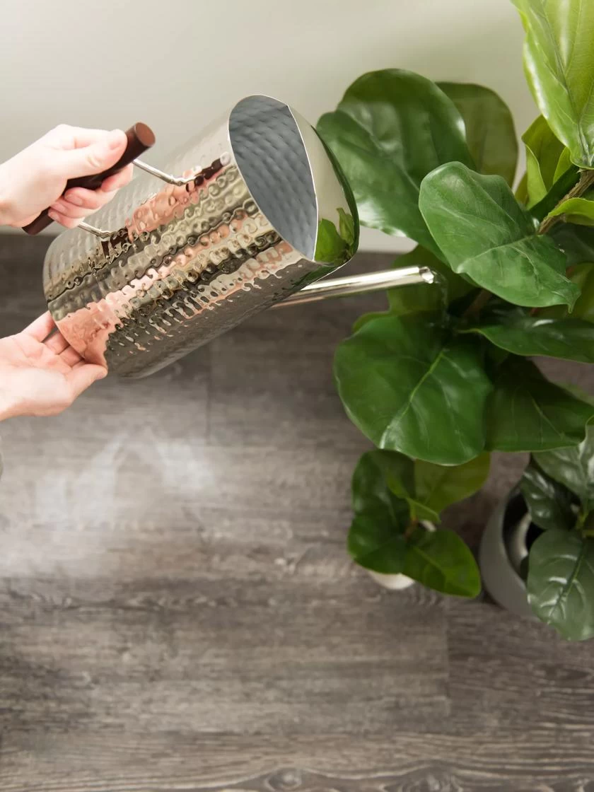 Stainless Steel Watering Can 3 Stainless Steel Watering Can - Image 3