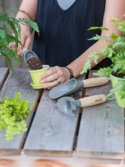 Gardening Sales Store -Gardening Sales Store 8599065 0121 tif