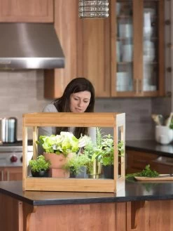 Bamboo Mini LED Grow Light Garden -Gardening Sales Store 8599624 12532 tif