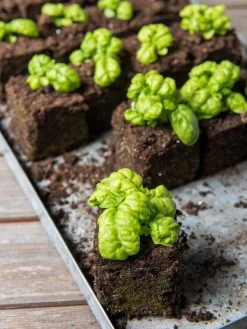 Soil Blocker, 4 Cell -Gardening Sales Store 8599790 1057 tif