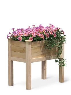 Elevated Cedar Garden Bed, 32" X 16" X 31"