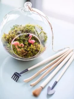 Terrarium Tools, Set Of 4 -Gardening Sales Store 8599884 01V tif