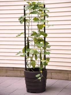 Gardener’s Victory Self-Watering Planter With Vine Trellis -Gardening Sales Store 8600177 9876 tif