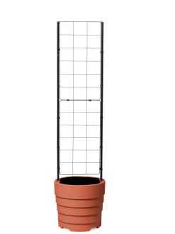 Gardener’s Victory Self-Watering Planter With Vine Trellis -Gardening Sales Store 8600178 7000 tif