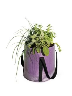Reinforced Colorful Grow Bags -Gardening Sales Store 8600230 0948 tif
