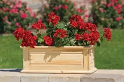Savannah Window Boxes 14 Savannah Window Boxes -Gardening Sales Store 8600461 04V tif