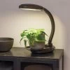 Agrobrite Desktop LED Plant Lamp