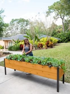 Self-Watering Eco-Stained Elevated Planter Box, 2' X 8' -Gardening Sales Store 8608965 6069 tif