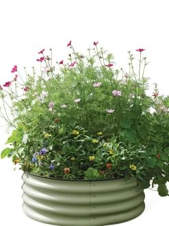Birdies™ Round Metal Raised Bed -Gardening Sales Store 8609150 006525 tif